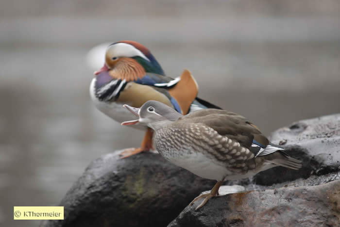 großes Produktfoto
